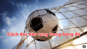 cách đọc kèo rung bóng đá 8live